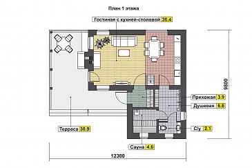 Проект дома с просторной крытой террасой с барбекю, гостиной с кухней-столовой, сауной и душевой, вторым светом и спальней на мансарде / План 1 этажа
